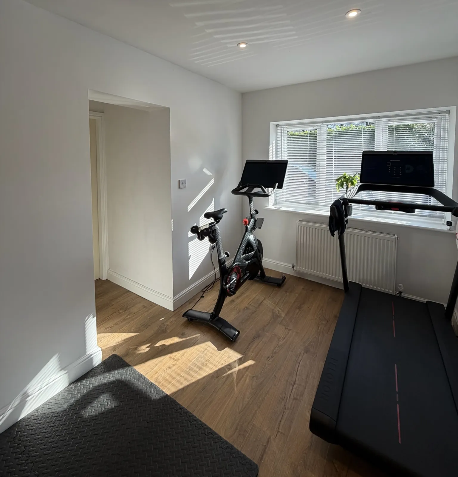Garage to home gym
